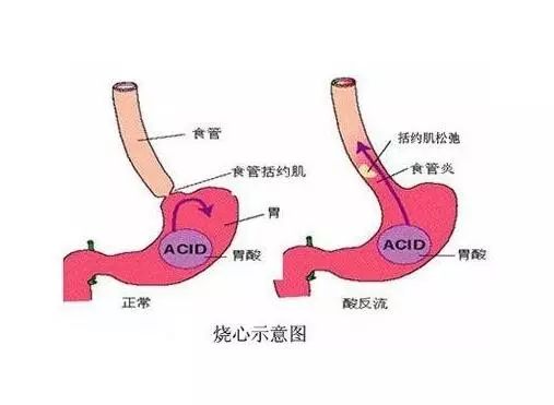 食人口腹_人口普查(2)