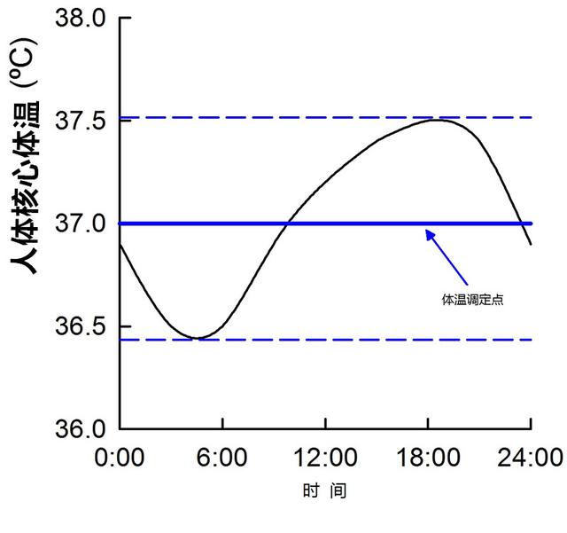 图3.人体核心体温昼夜节律 同样运动会增高核心体温(图4)