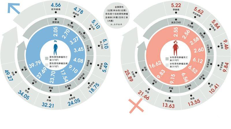 大城市男性:前列腺癌和肠癌风险高 大城市女性:乳腺癌和甲状腺癌风险