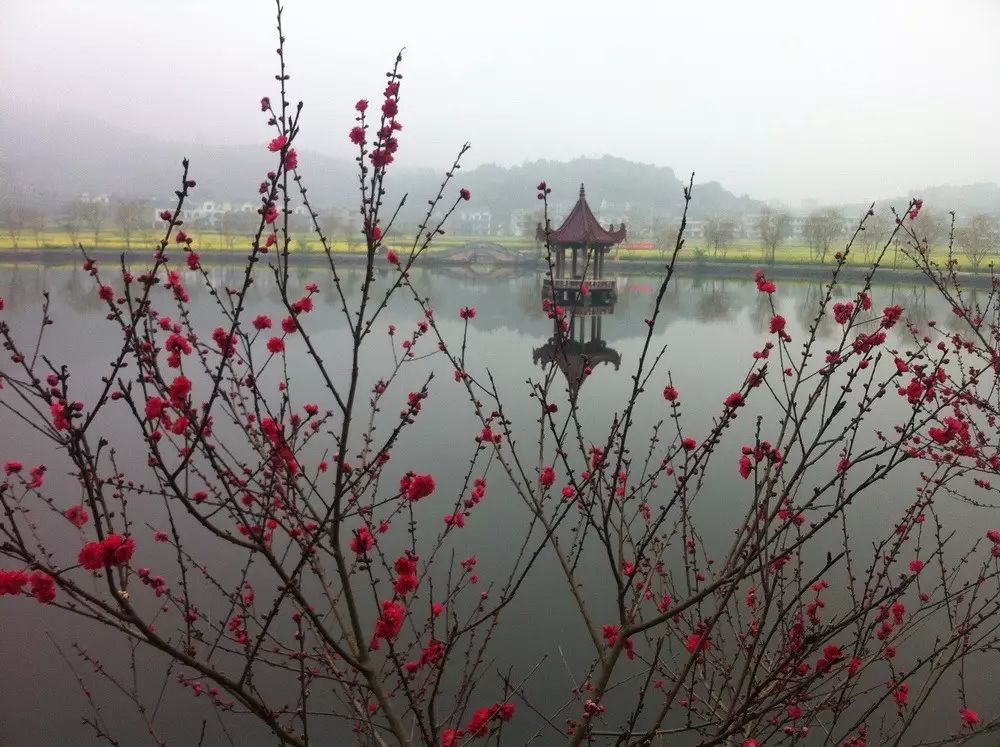 莆田坪人口_莆田坪盘旅游景区