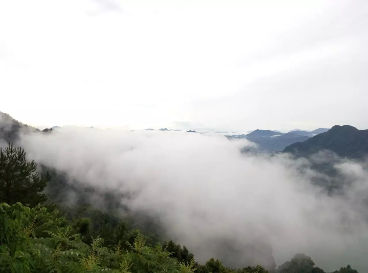 来蒙山县不知道有什么好玩的,找我呀