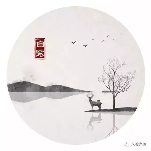 白露到,秋意浓——白露画诗