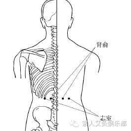 【标准定位】在腰部,当第2腰椎棘下,旁开3寸.