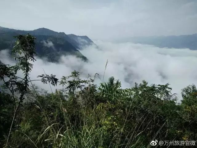 走进万州弹子镇池海景区