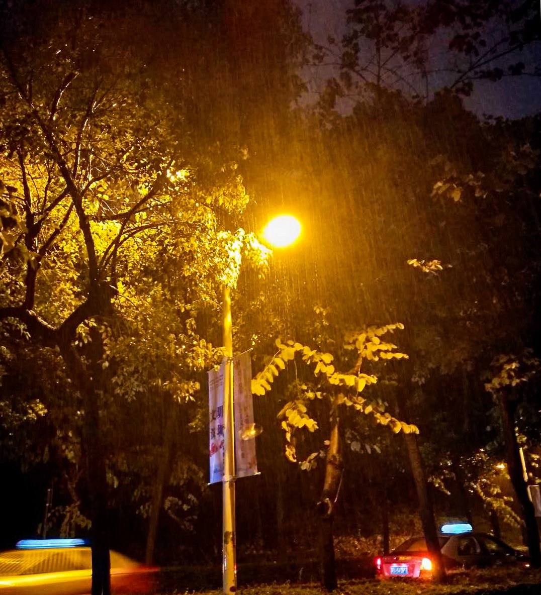 我在深圳 ●这座城市风雨再大,也总有人晚归家