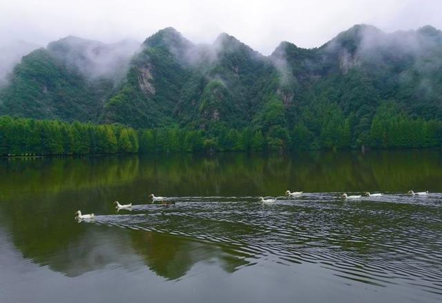 雨游南郑庙坝龙池,感受良田美池桑竹之趣