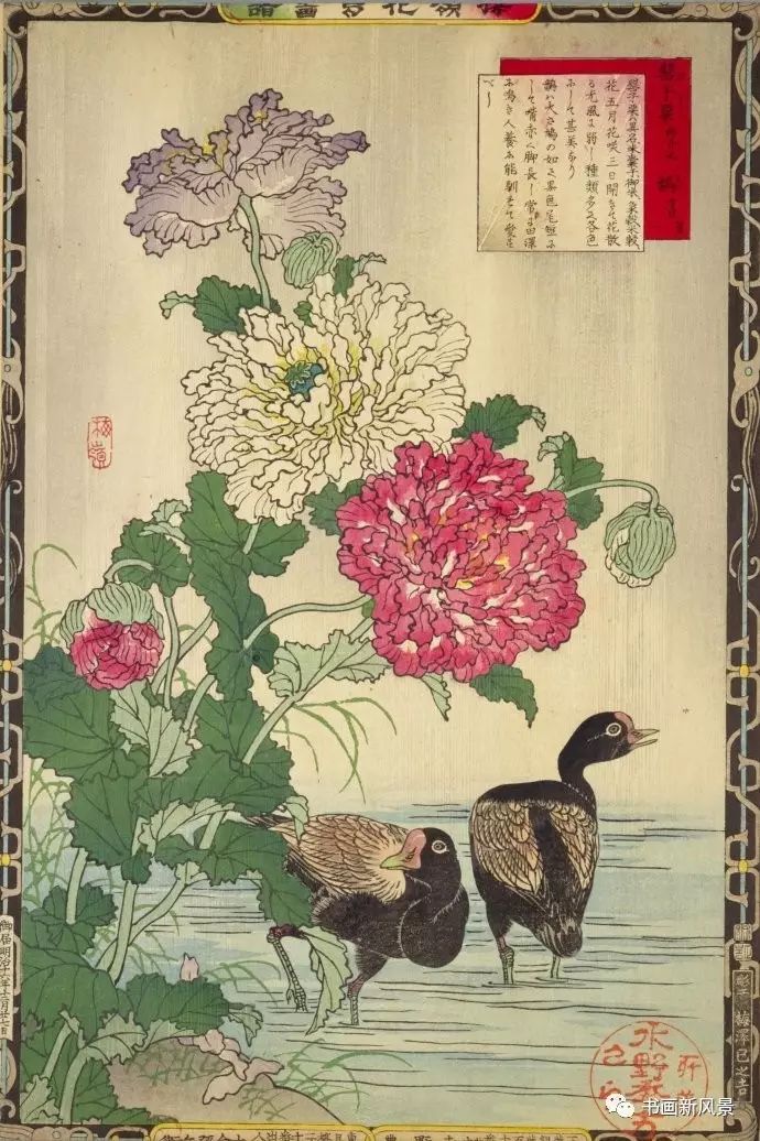 日本 浮世绘 楳嶺花鳥画譜日本 浮世绘 楳嶺花鳥画譜日本 浮世绘 楳