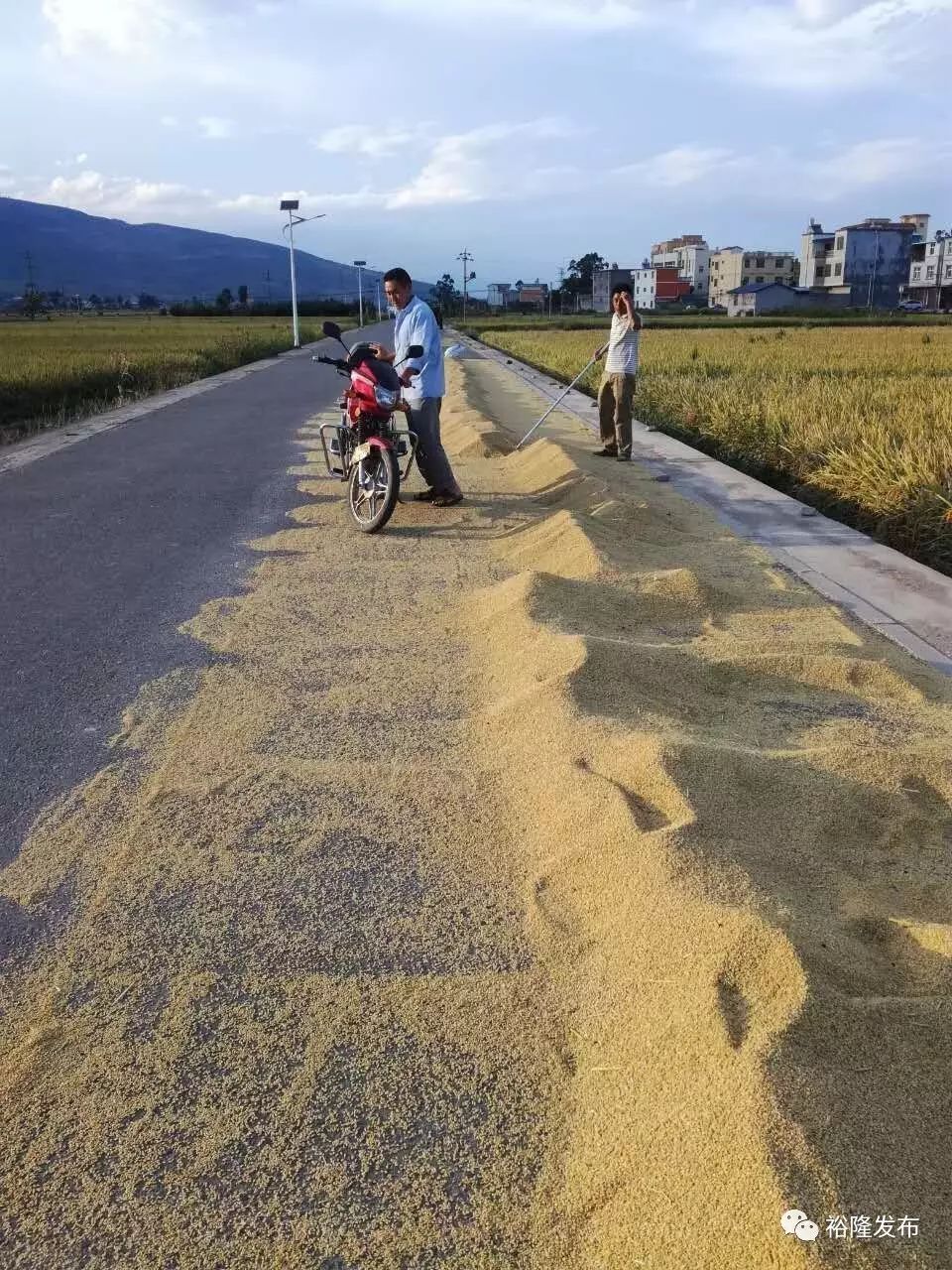 交通事故需承担的法律责任,劝导,教育村民严禁占道晒谷,清理路面谷物