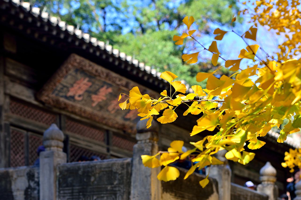 北京大觉寺轻越野,跑在京郊最美的季节