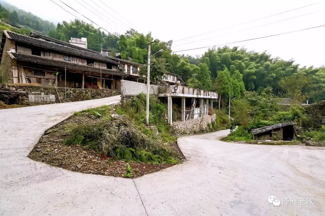 一路一摄影·一村一美景,走进泽雅吴岙村,带您梦回