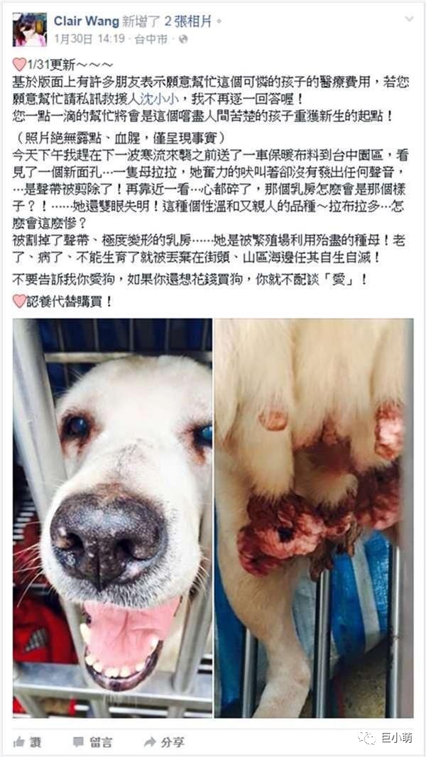 因为同样是给狗狗做手术,所以有部分网友把割除声带与绝育联系到了一