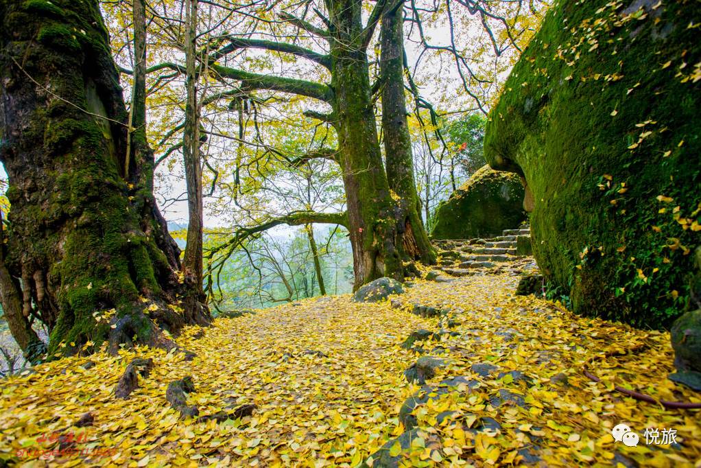 千年古村 南惹村,因山上的仰山栖隐禅寺和村落的绝美风景而富有禅意.