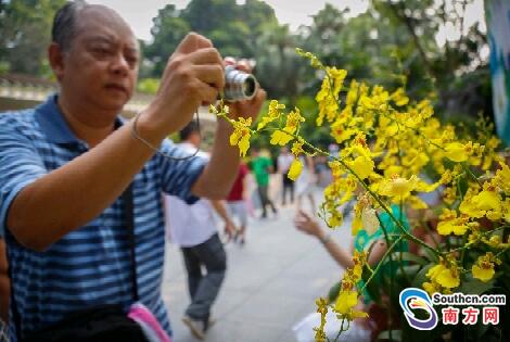 【本地】“花艺界奥林匹克”来袭 越秀公6686体育平台园花样百出(图1)