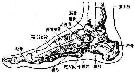 足部损伤跑友的重返跑道秘笈!_搜狐体育_搜狐网原标题