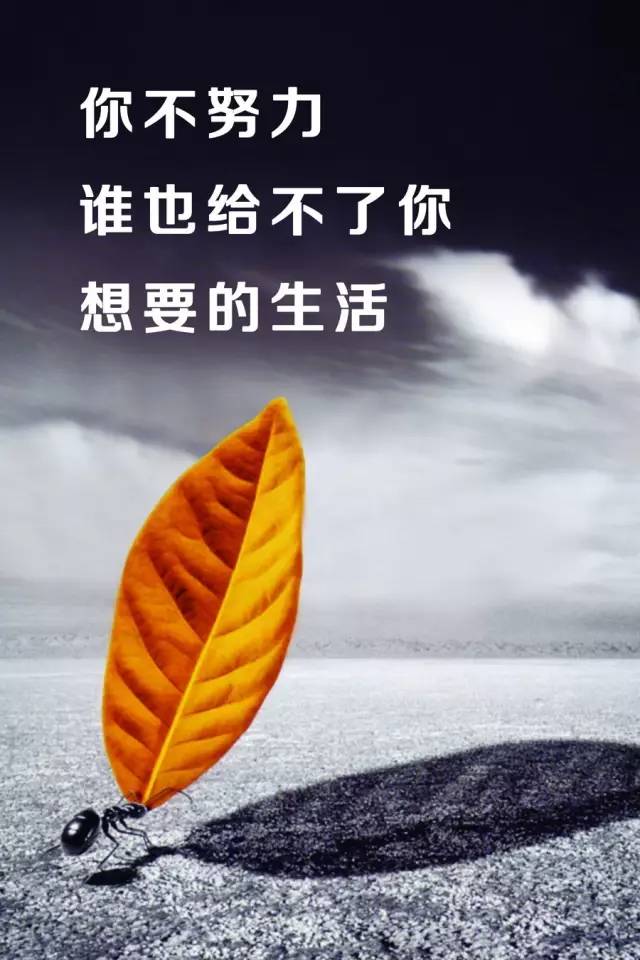 当有一天,你足够优秀,你会感谢今天所吃的苦,愿你足够美好,可以坚强似