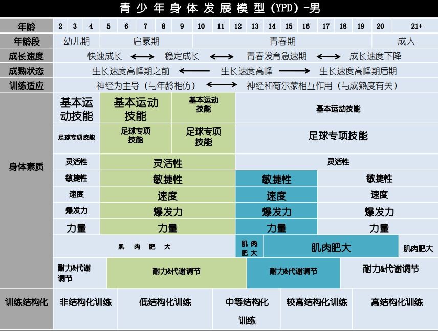 图1-青少年身体发展模型(男)