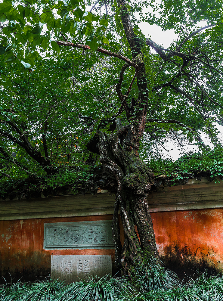 国清寺:寺成国清,天台宗源