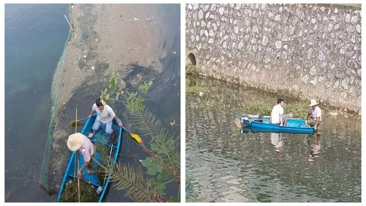 清理水面垃圾