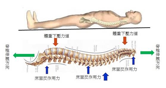 侧睡,仰睡,趴睡其实会影响身体健康!