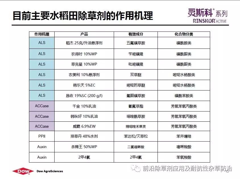 灵斯科对水稻耐抗性杂草应用实践