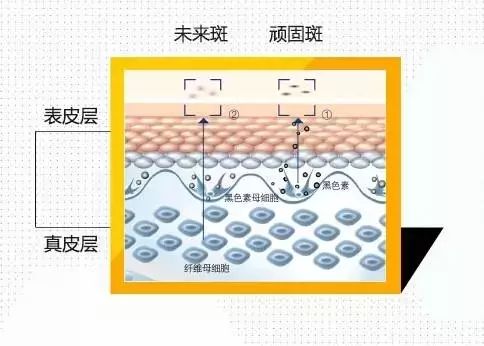 激光原理什么是多普勒效应_多普勒效应(2)