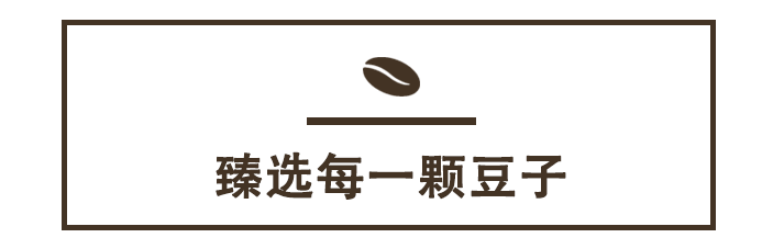 wow星爸爸的黑围裙店终于登陆小岛咖啡大师带你领略星巴克臻选风味