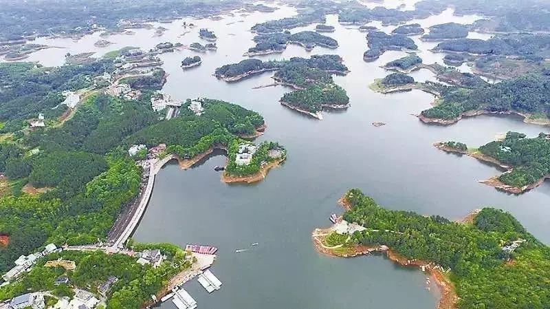 窝在仁寿新玩法!露营探险,徒手摸鱼,亮瞎童年!好耍得板!