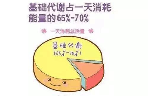 基础代谢率如何提高让减脂减肥不费吹灰之力 