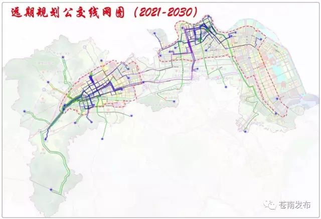 苍南县公交线路规划公开征求意见