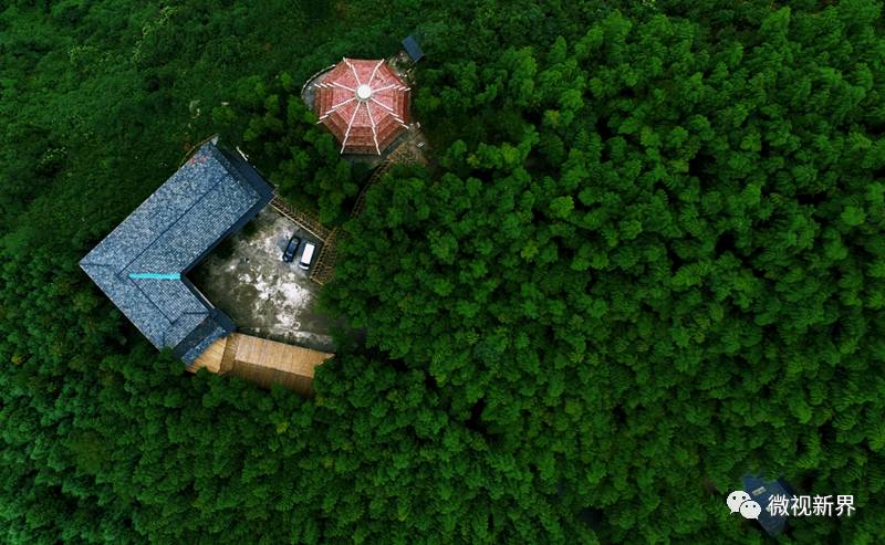 鸟瞰羌王竹海北川羌王竹海,位于北川擂鼓镇楠竹村.