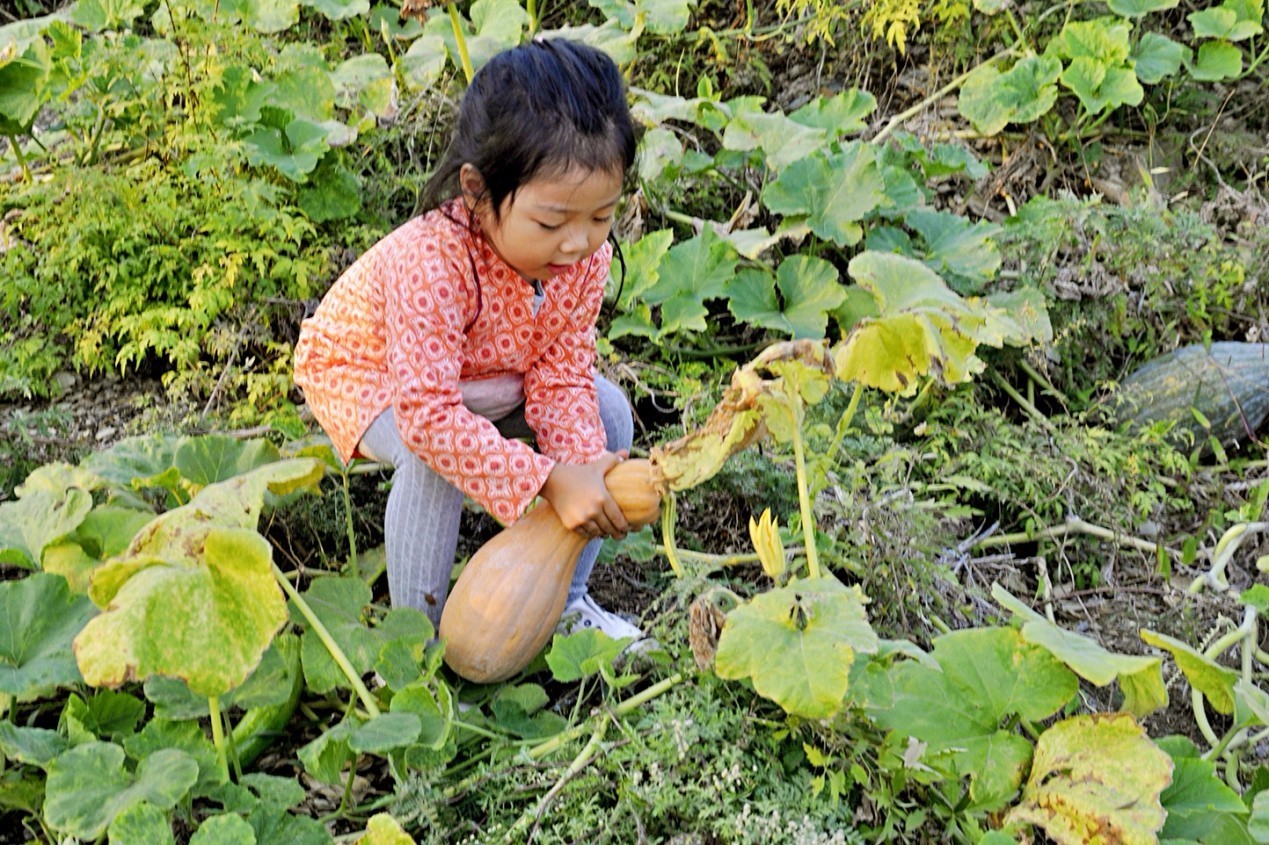 活动 | 给父母一个田园假期:去田地里摘苹果,刨花生,挖红薯,摘南瓜,把