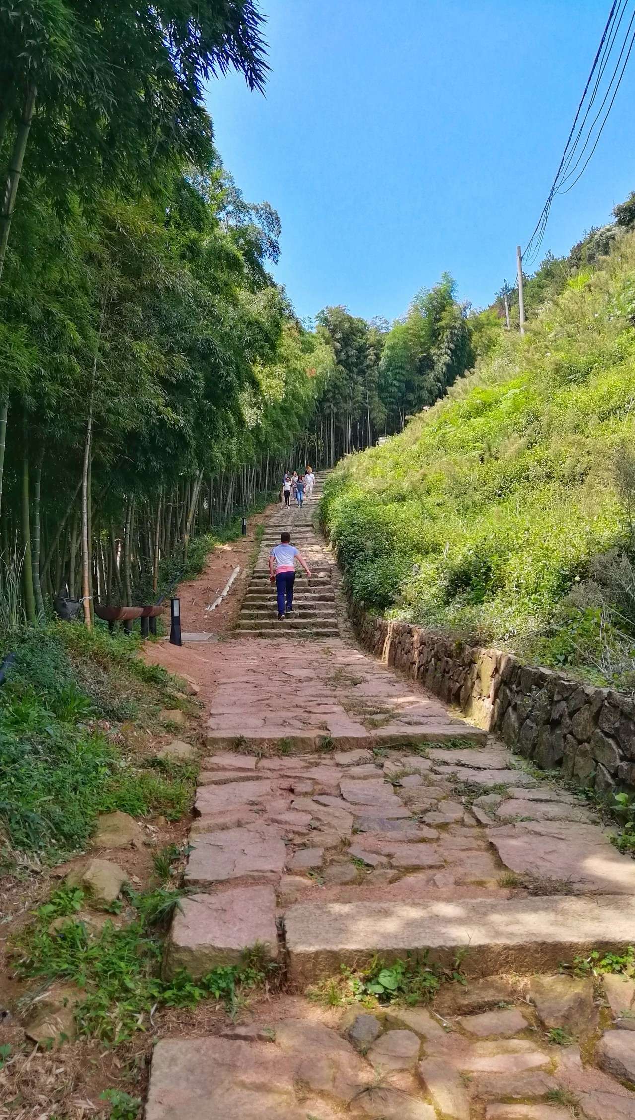 【自组团已成行】9.24 徒步径山古道,赏漫山茶园,古寺吃斋悟禅祈福