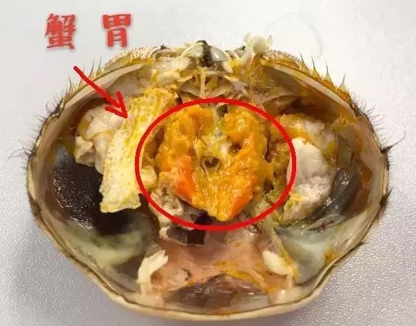3 蟹胃 躲在蟹黄里的三角包儿也有蟹的"粪便.