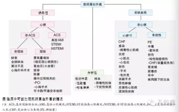 肌钙蛋白升高除了怀疑心梗还应如何考虑