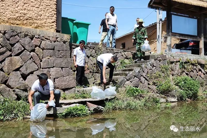 遂昌：一男子休息时心生念头，结果……