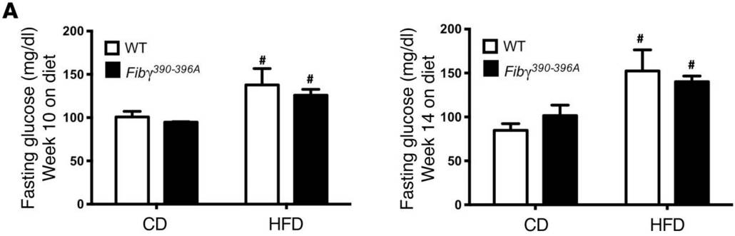 葡萄糖耐受实验和胰岛素耐受实验证明fibγ390–396a小鼠抵抗高脂饮食