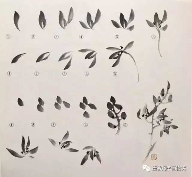 国画兰花绘画技法,怎样画兰,兰与竹的组合画法教程