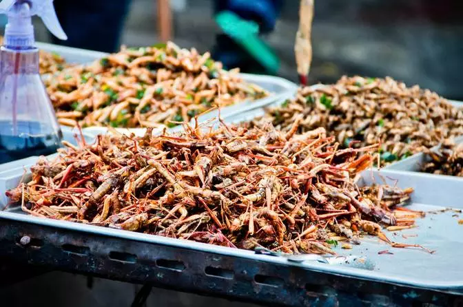 09 炸昆虫 炸昆虫也是泰国的夜市上随处可见的"美味",一般人怕是不敢