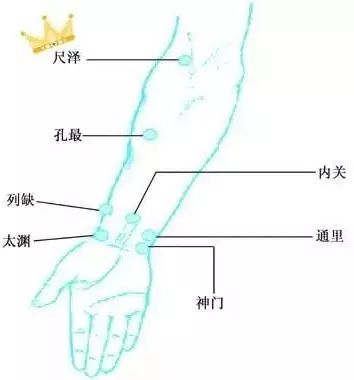 06 手太阴肺经之——尺泽 定位: 肘横纹中,肱二头肌肌腱桡侧凹陷处.