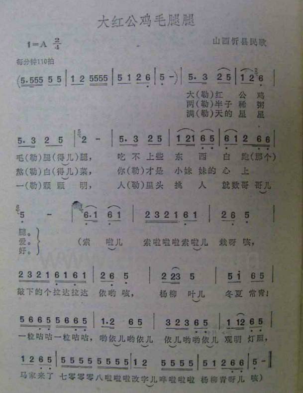 大红公鸡毛腿腿简谱_大红公鸡图片