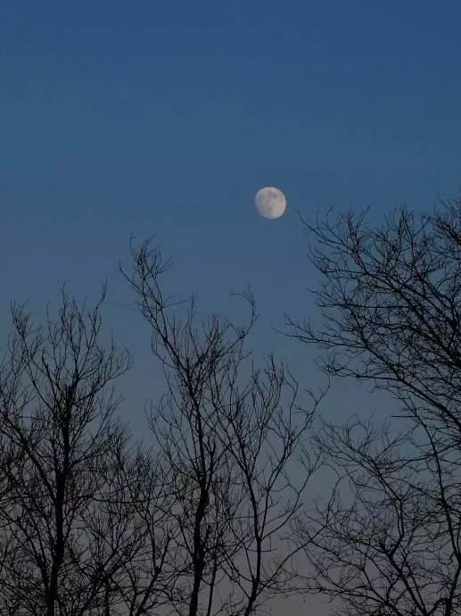 今夜与明月对望