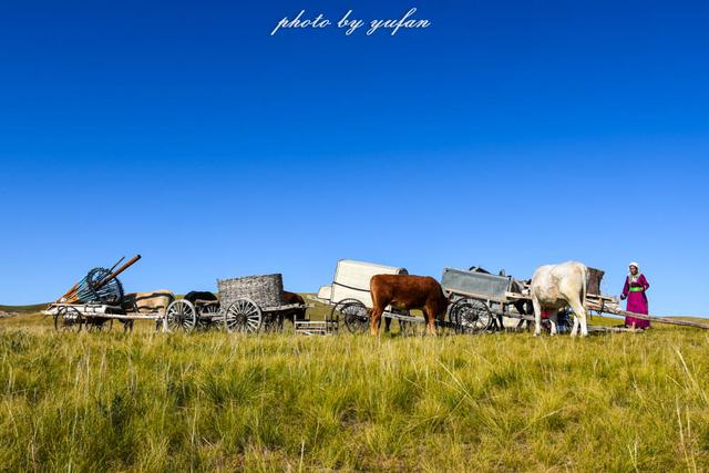 草原游牧人民是如何搬迁蒙古包的?分享一次我们遇见的