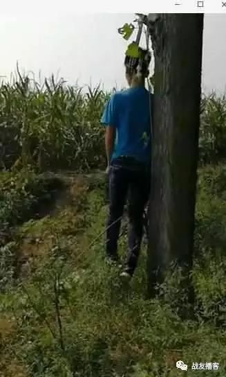 12岁男孩在树林上吊自杀!原因竟是被学校开除