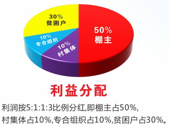 贫困人口纯收入9057元_贫困山区的孩子图片(3)