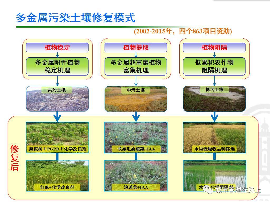 仇荣亮:重金属污染土壤修复进程与挑战