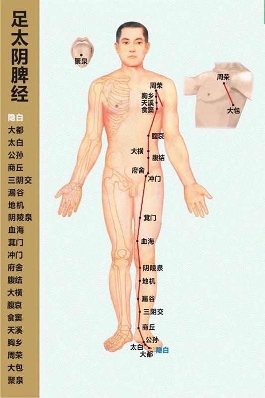 气血充盈邪无踪——品味脚上的脾经大药!