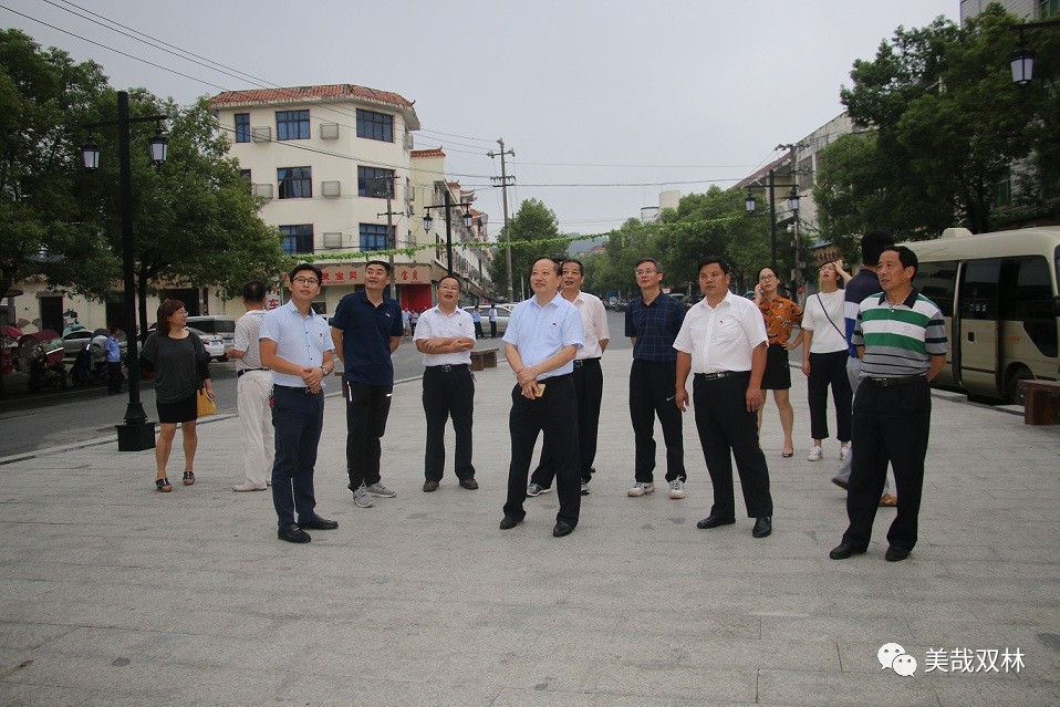 新余市政协副主席傅明明一行莅临双林镇视察重点项目集镇服务管理工作