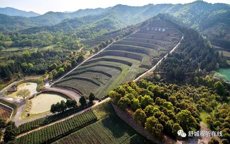 舒城:刚刚湖北传来喜讯!我县这个地方获全国最美称号!