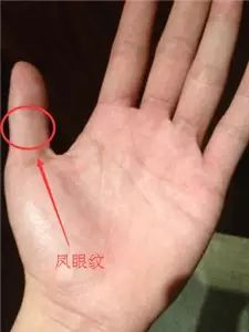 七,大拇指指纹:凤眼纹纹路多大拇指第二指节上的纹路,相学中称之为