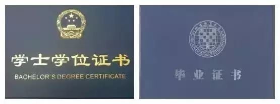 01,毕业证,学位证